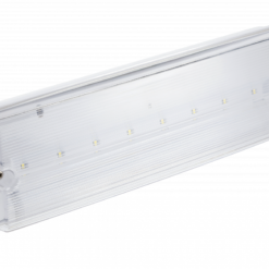 TERNO-3 LED 3W 250lm 6400K IP65 3h avarinis šviestuvas su testavimo mygtuku