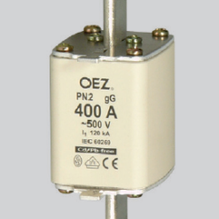 PNA2 (PN2) saugiklis 224A 500V gG (NH2)