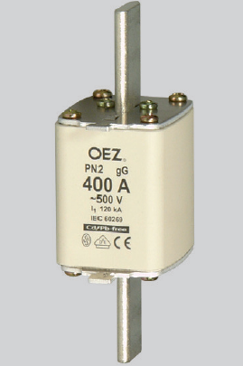 PNA2 (PN2) saugiklis 224A 500V gG (NH2)