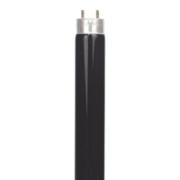 TL 8W/08 blacklight lium. lempa PHILIPS
