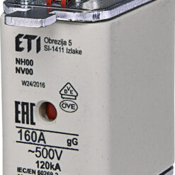 004182216 WT-00/gG Saugiklis 160A 500V (NH00)