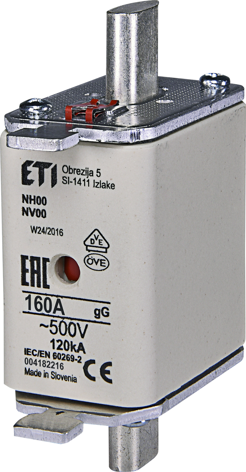 004182216 WT-00/gG Saugiklis 160A 500V (NH00)