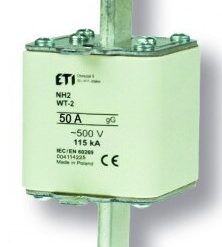 004114225 WT-2C/gG Saugiklis 50A 500V (NH2)