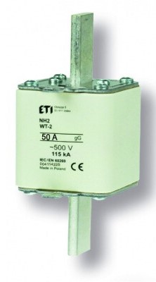 004114225 WT-2C/gG Saugiklis 50A 500V (NH2)