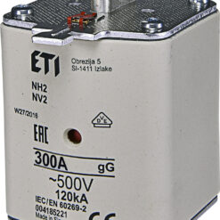 004185221 WT-2/gG Saugiklis 300A 500V (NH2)