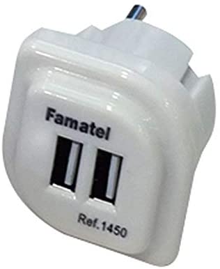 1450 USB kištukas