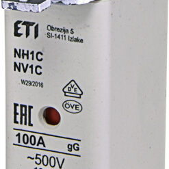004181214 WT-00/gG Saugiklis 100A 500V (NH00)