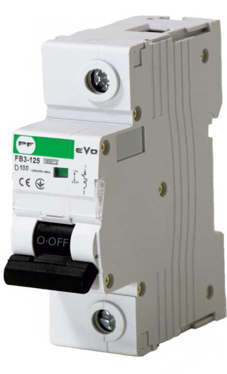 FB3-63 EVO Automatinis jungiklis 1P D 100A 15kA