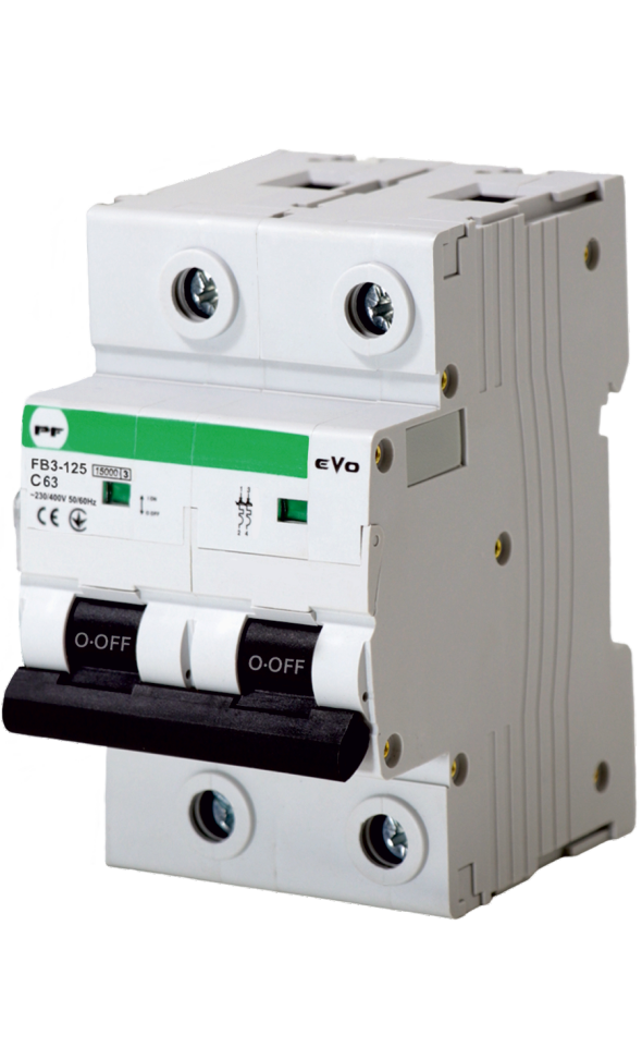 FB3-63 EVO Automatinis jungiklis 2P C 63A 6kA