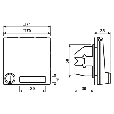 SCHUKO® lizdas, 16 A 250 V ~, su užrašo laukeliu, SAFETY+, atlenkiamu dangteliu, su apsauginiu užraktu, termoplastiniu laku padengtas, LS serijos, sendinto žalvario spalvos - Image 2