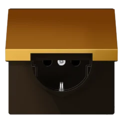 SCHUKO® lizdas, 16 A 250 V ~, su atlenkiamu dangteliu, metalinis, aukso spalvos PVD danga, LS serijos, aukso spalvos