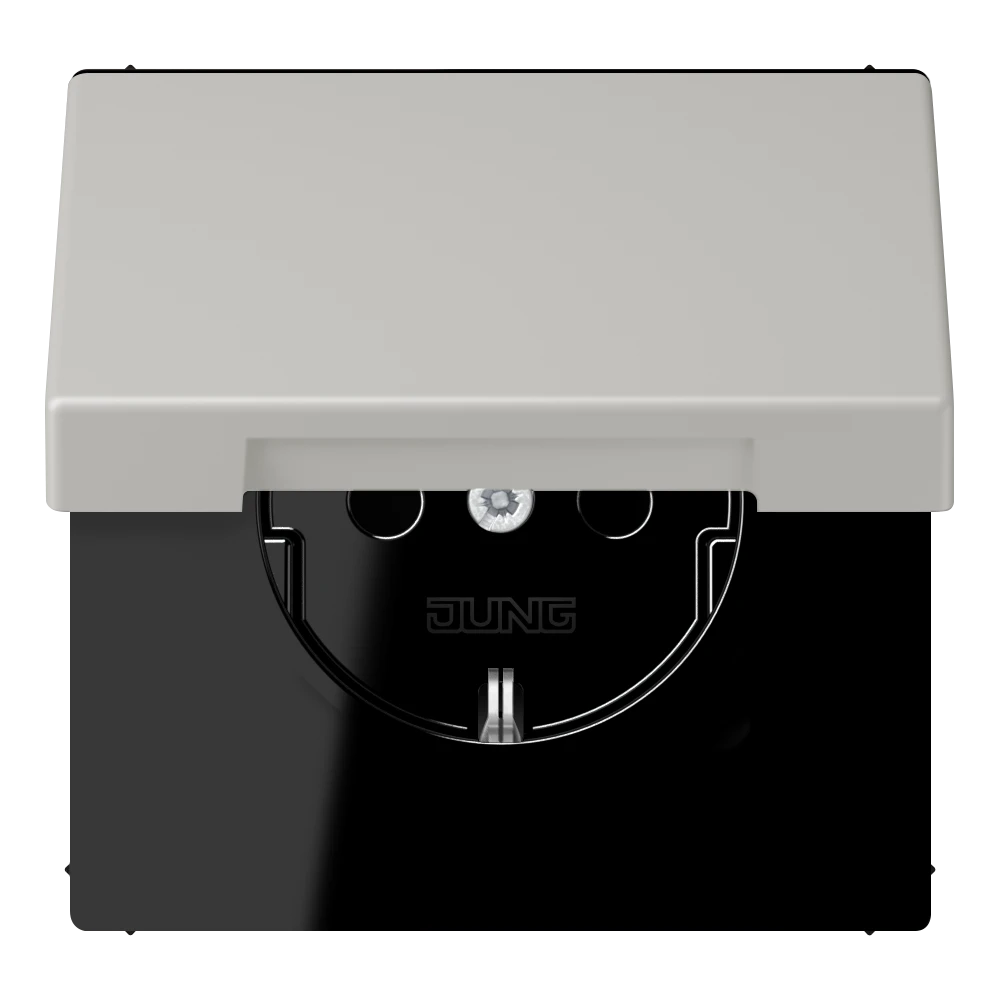 SCHUKO® lizdas, 16 A 250 V ~, su atlenkiamu dangteliu, termoplastiniu laku padengtas, LS serijos, gris clair 31 (32013)