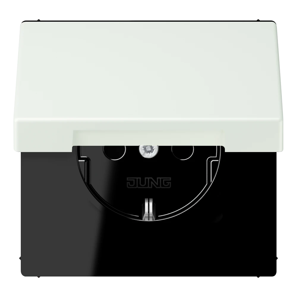 SCHUKO® lizdas, 16 A 250 V ~, su atlenkiamu dangteliu, termoplastiniu laku, LS serijos, išorinis pilkasis (32024)