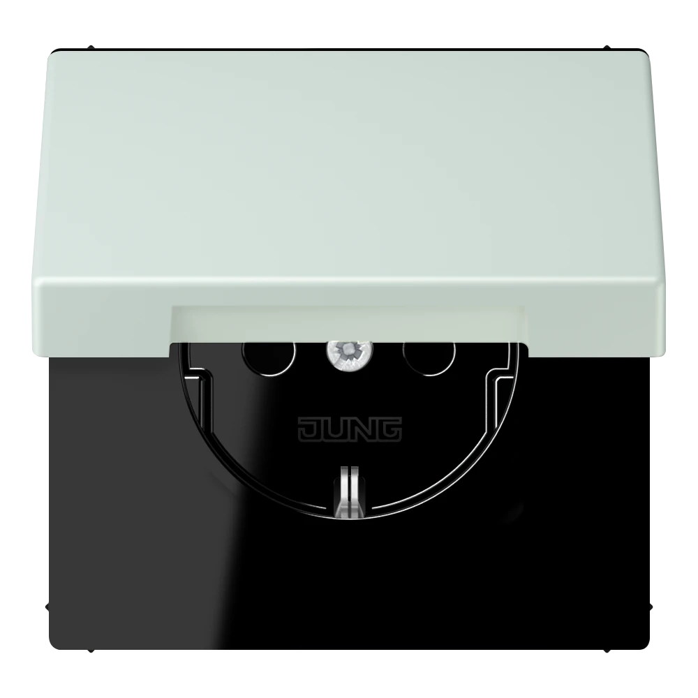 SCHUKO® lizdas, 16 A 250 V ~, atlenkiamas dangtelis, lakuotas termoplastiniu būdu, LS serija, céruléen pâle (32034)