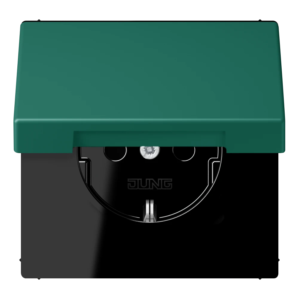 SCHUKO® lizdas, 16 A 250 V ~, atlenkiamas dangtelis, lakuotas termoplastiniu būdu, LS serija, vert anglais (32040)