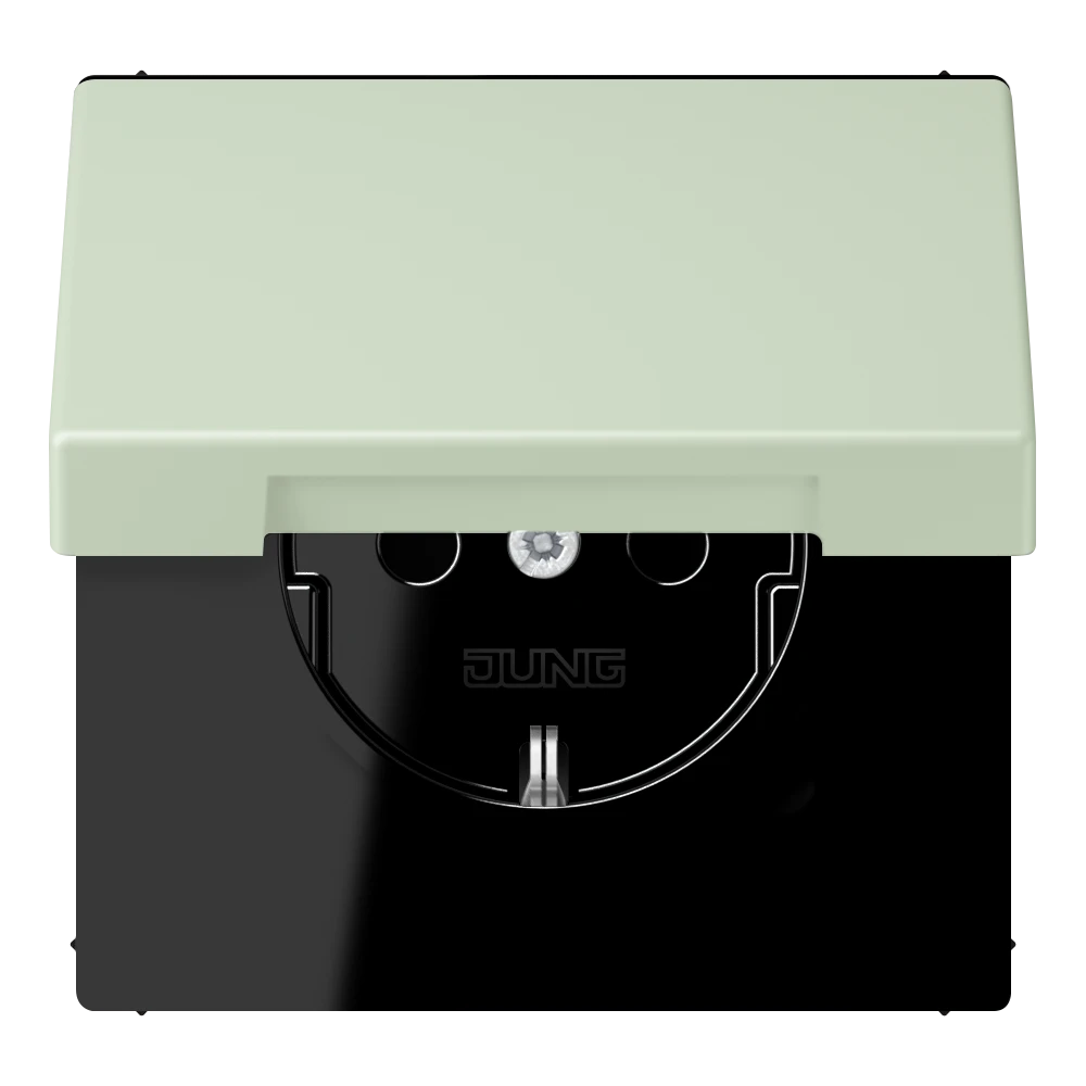 SCHUKO® lizdas, 16 A 250 V ~, atlenkiamas dangtelis, lakuotas termoplastiniu būdu, LS serija, vert anglais pâle (32042)