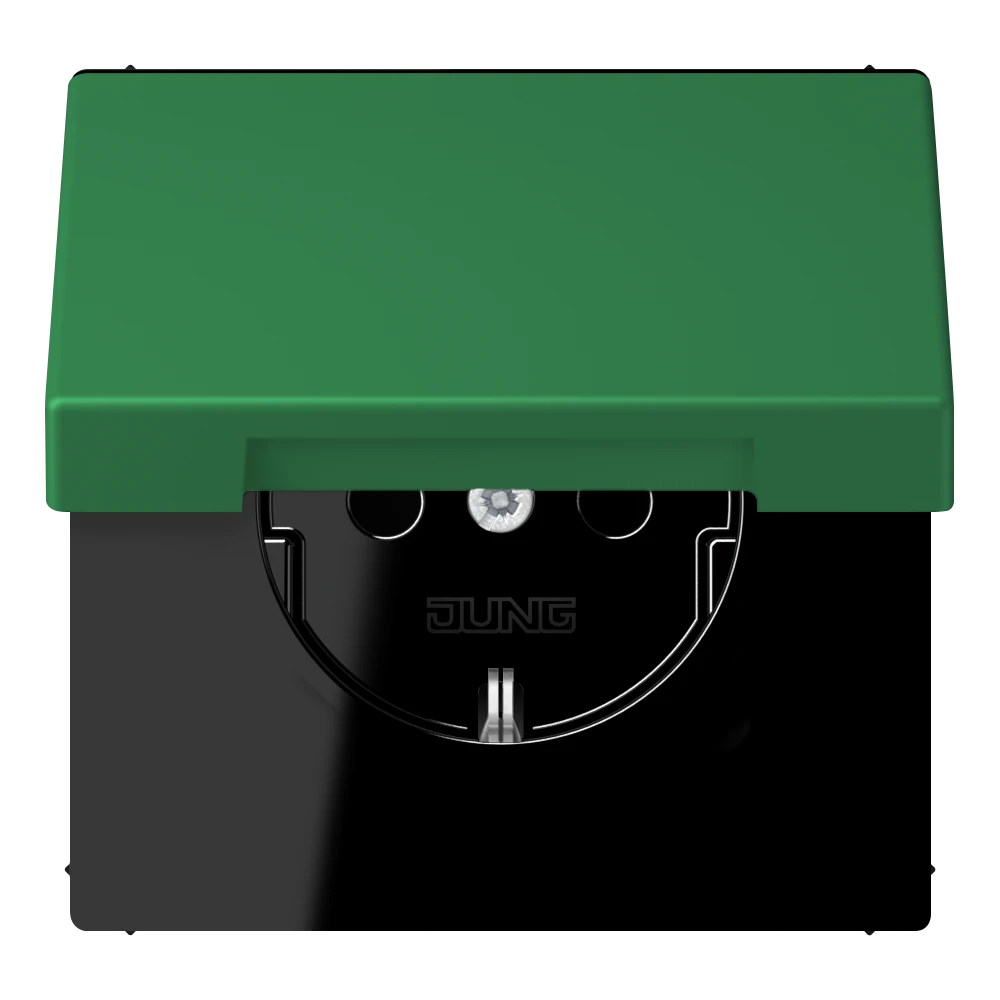 SCHUKO® lizdas, 16 A 250 V ~, atlenkiamas dangtelis, lakuotas termoplastiniu būdu, LS serija, vert foncé (32050)