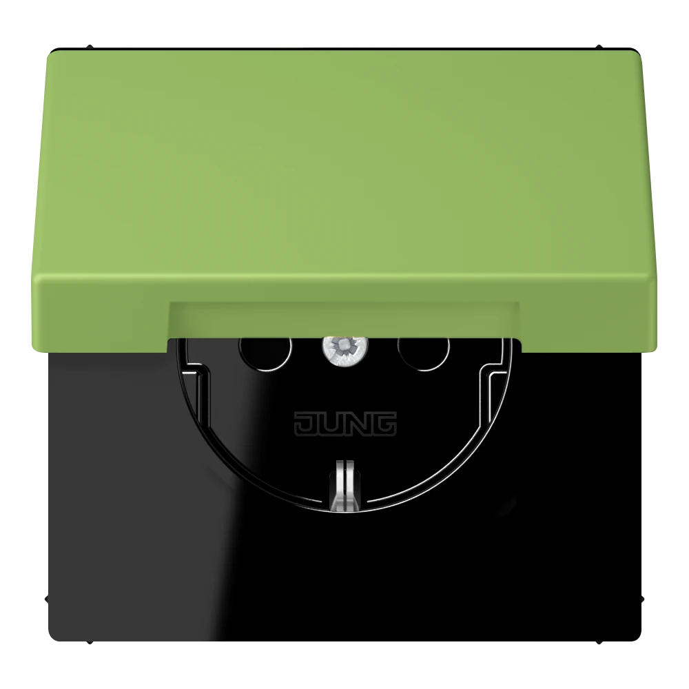 SCHUKO® lizdas, 16 A 250 V ~, su atlenkiamu dangteliu, termoplastiniu laku, LS serijos, vertikalus 31 (32051)