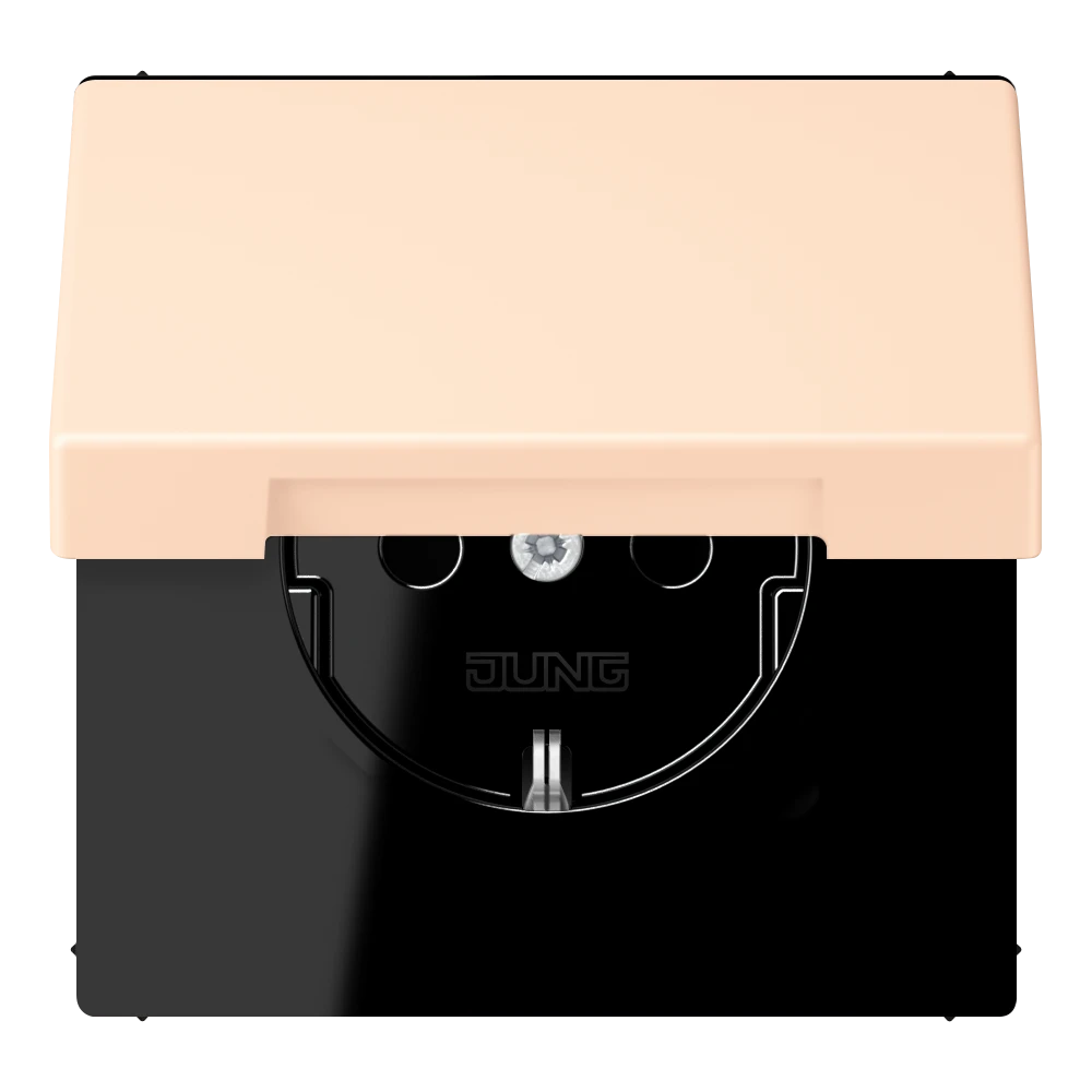 SCHUKO® lizdas, 16 A 250 V ~, atlenkiamas dangtelis, lakuotas termoplastiniu būdu, LS serija, terre sienne pâle (32123)