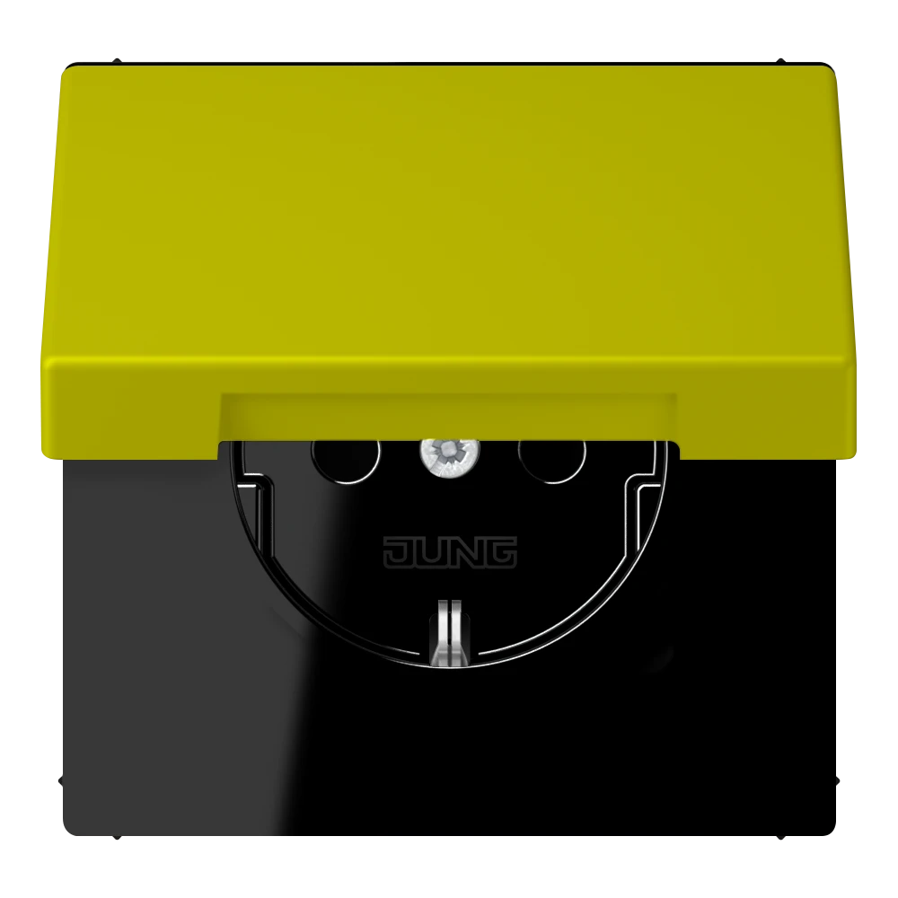 SCHUKO® lizdas, 16 A 250 V ~, su atlenkiamu dangteliu, termoplastiniu laku, LS serijos, vertikalus alyvuogių spalvos (4320F)