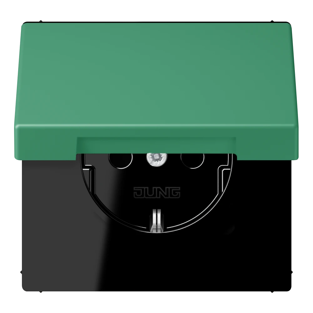 SCHUKO® lizdas, 16 A 250 V ~, su atlenkiamu dangteliu, termoplastiniu laku, LS serijos, vertikalus 59 (4320G)