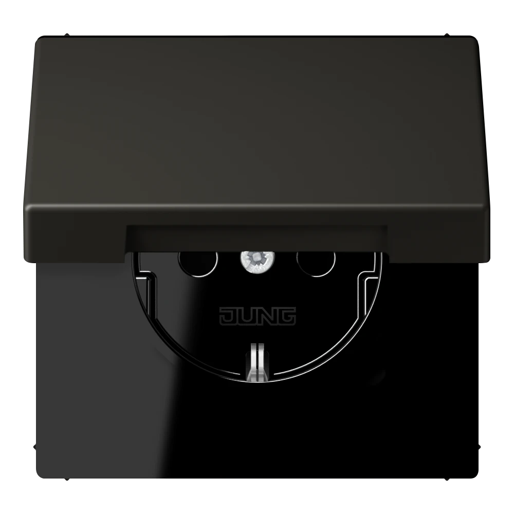 SCHUKO® lizdas, 16 A 250 V ~, su atlenkiamu dangteliu, termoplastiniu laku padengtas, LS serijos, ombre naturelle 59 (4320R)