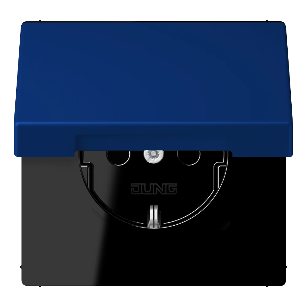 SCHUKO® lizdas, 16 A 250 V ~, atlenkiamas dangtelis, lakuotas termoplastiniu būdu, LS serija, bleu outremer foncé (4320T)
