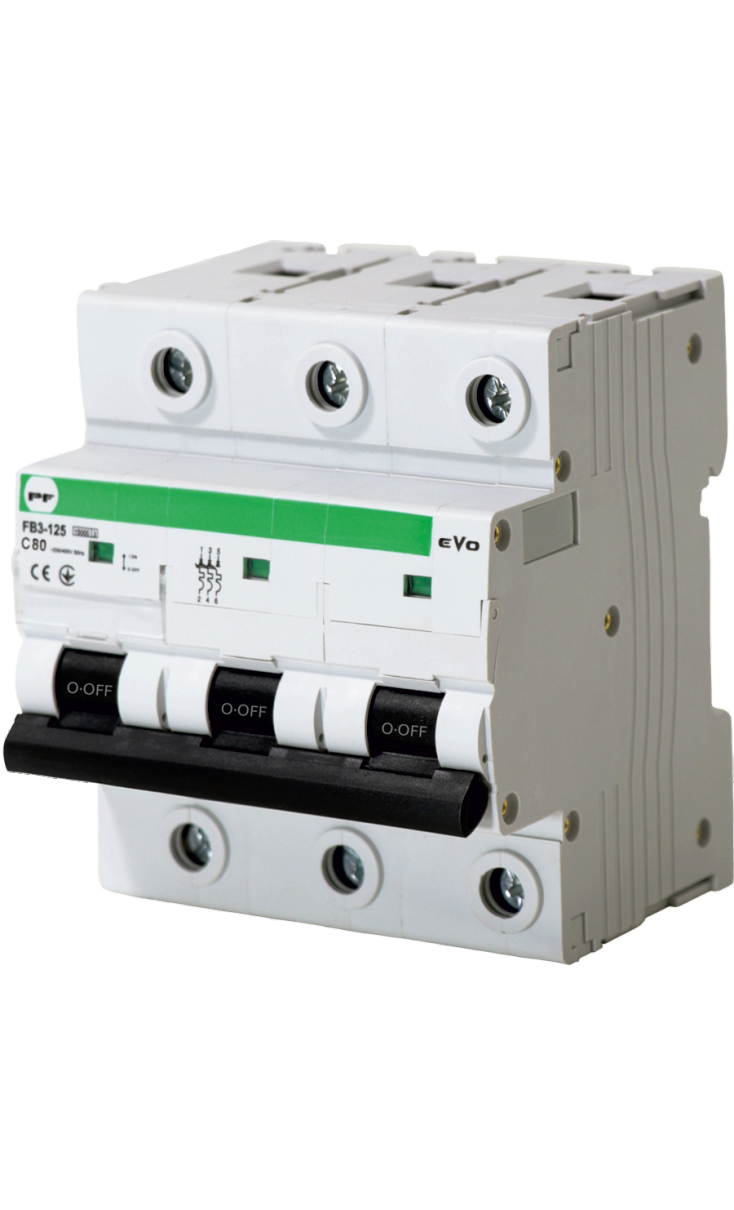FB3-63 EVO Automatinis jungiklis 3P C 80A 15kA