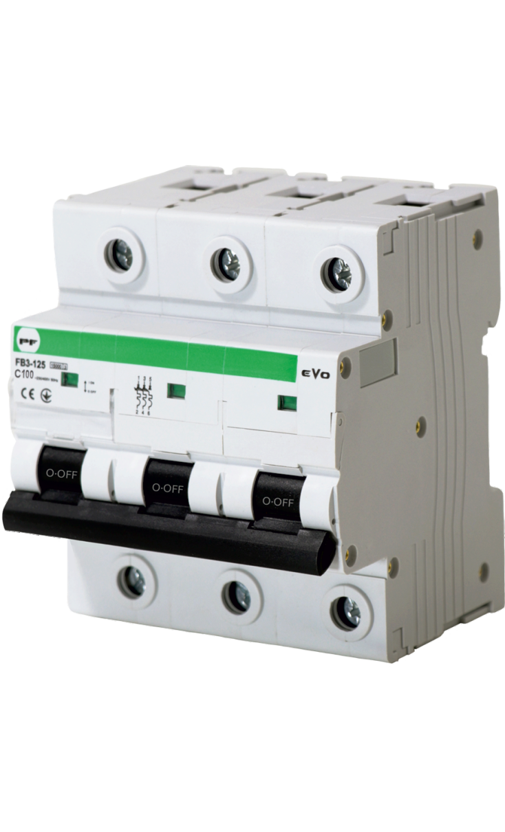 FB3-63 EVO Automatinis jungiklis 3P C 100A 15kA