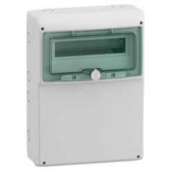 Hermetinis modulinis paskirstymo skydelis Schneider Electric Mureva 10377 1x12 modulių IP65 virštinkinis montavimas skaidrios durelės, pilkas