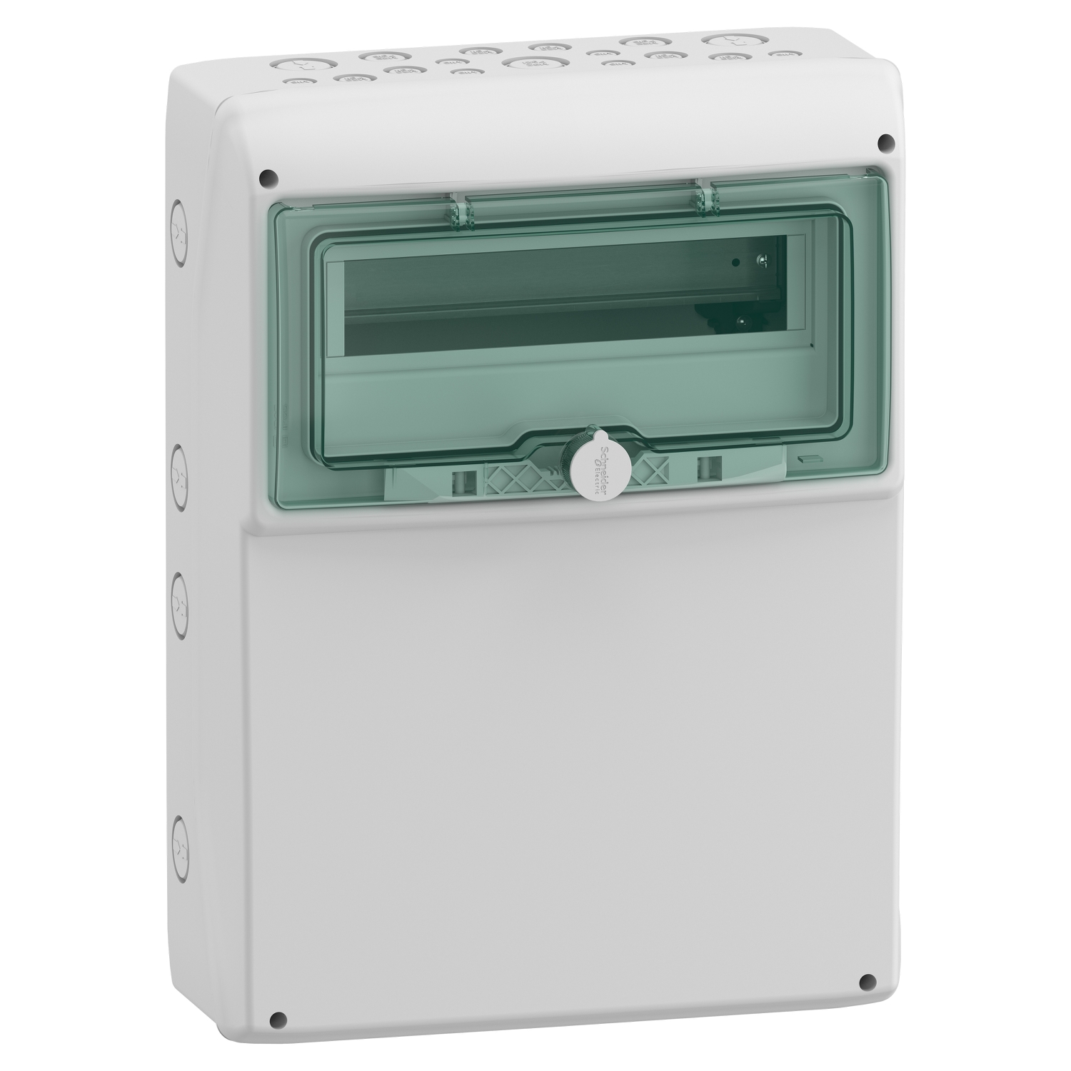 Hermetinis modulinis paskirstymo skydelis Schneider Electric Mureva 13192 1x12 modulių IP65 virštinkinis montavimas skaidrios durelės 460x340x160 mm, pilkas