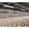 Hermetinis LED šviestuvas GTV FARM LD-FAR150-50W-40 50 W 7500 lm 4000 K IP65 IK08 220–240 V