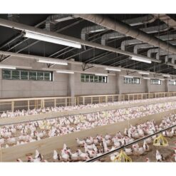 Hermetinis LED šviestuvas GTV FARM LD-FAR150-50W-40 50 W 7500 lm 4000 K IP65 IK08 220–240 V