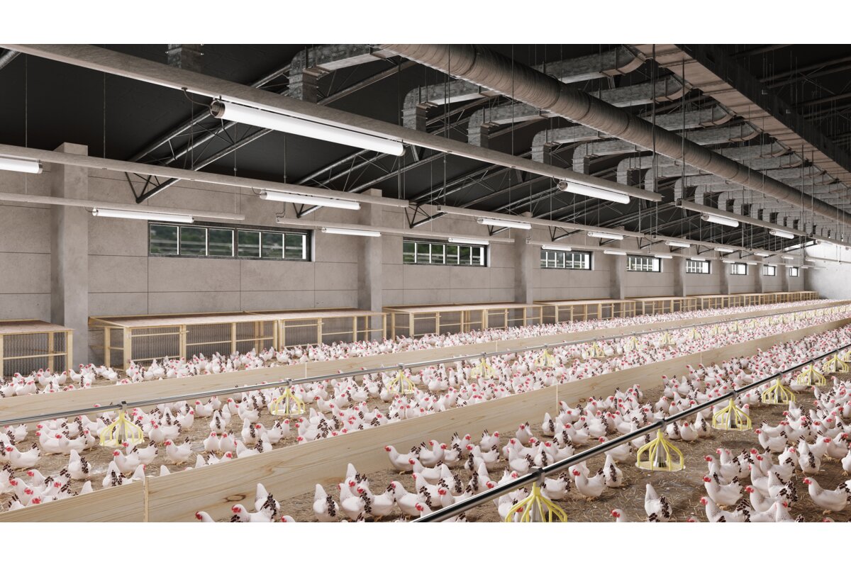Hermetinis LED šviestuvas GTV FARM LD-FAR150-50W-40 50 W 7500 lm 4000 K IP65 IK08 220–240 V