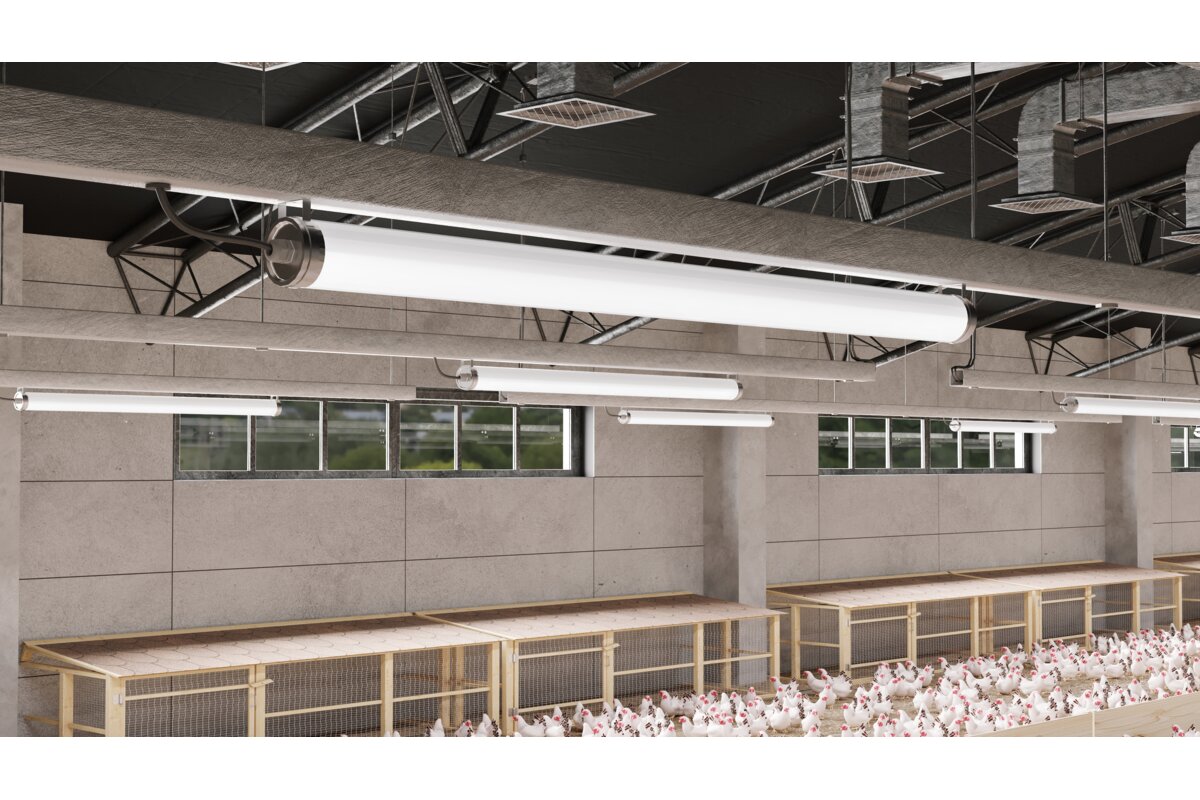 Hermetinis LED šviestuvas GTV FARM LD-FAR150-50W-40 50 W 7500 lm 4000 K IP65 IK08 220–240 V