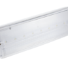 Avarinis šviestuvas GTV TERNO LD-TERNO1-00 3 W 250 lm 6400 K IP65