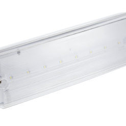 Avarinis šviestuvas GTV TERNO LD-TERNO1-00 3 W 250 lm 6400 K IP65