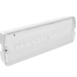 Avarinis šviestuvas GTV TERNO LD-TERNO3-L4-00 3 W 250 lm 6400 K IP65